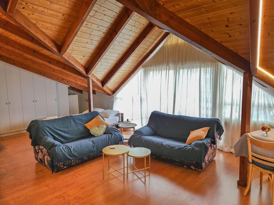 Sunny & Comfy Studio In The Heart Of Превеза Экстерьер фото